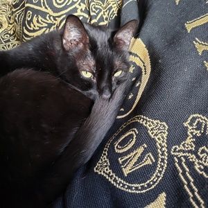 Meet your Posher, Lori